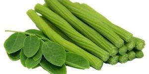 Fresh Green Drumstick