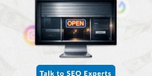 Search Engine Optimization Services