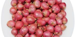 Small Red Onion