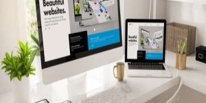 Web Development Services