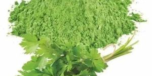 Dried Coriander Leaves Powder