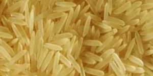 Pusa Golden Sella Basmati Rice