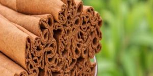 Cinnamon Stick