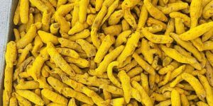 Turmeric Finger