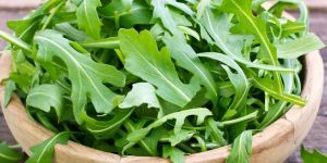 Fresh Arugula Leaves