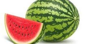 Fresh Watermelon