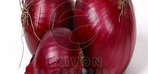 a Grade Fresh Red Onion