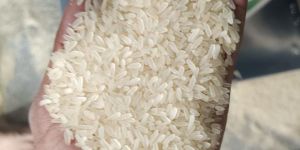 ir64 Rice
