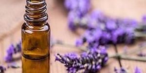 Lavender Herbal Extract Oil