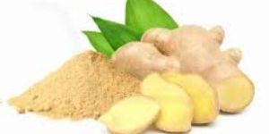 Ginger Powder