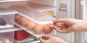 Plastic Refrigerator Organizer Box