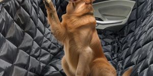 Pet Car Seat Cover
