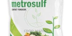 Metrosulf Sulphur 80% WDG Fungicide