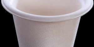 Sugarcane Bagasse Biodegradable Disposable Glass