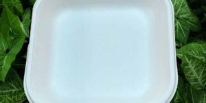 6 Inch Square Sugarcane Bagasse Biodegradable Disposable Plate