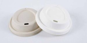 8 Inch Round Sugarcane Bagasse Biodegradable Disposable Lid
