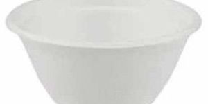 8 OZ Sugarcane Bagasse Biodegradable Disposable Bowl