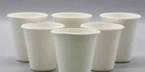 8 OZ Sugarcane Bagasse Biodegradable Disposable Cup