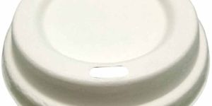 9 Inch Round Sugarcane Bagasse Biodegradable Disposable Lid