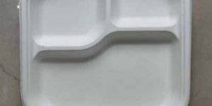 9 Inch Square 3CP Sugarcane Bagasse Biodegradable Disposable Plate