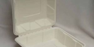 9X9 Inch Sugarcane Bagasse Biodegradable Disposable Clamshell Box
