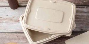 Rectangular Sugarcane Bagasse Biodegradable Disposable Container Lid