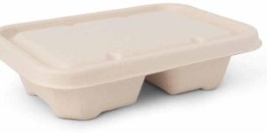Rectangular Sugarcane Bagasse Biodegradable Disposable Food Container