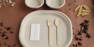 Sugarcane Bagasse Biodegradable Disposable Tableware