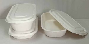 Oval Sugarcane Bagasse Biodegradable Disposable Food Container