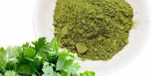 Dehydrated Coriander Powder