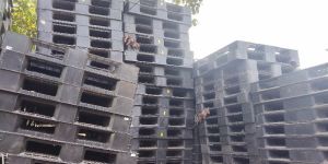 Plastic Pallet for warehouse and godown