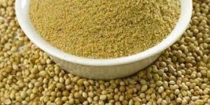 a Grade Coriander Powder
