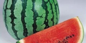 Fresh Watermelon