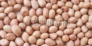 Raw Peanut Kernels