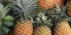 Fresh Pineapple