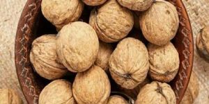 Shelled Walnuts