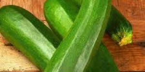 Fresh Green Zucchini