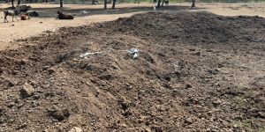 Brown Cow Dung Manure