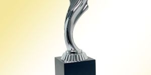 Silver Star Excellence Trophy
