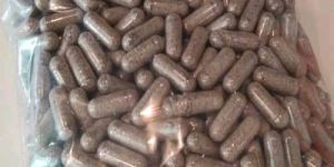 Lion'S Mane Mushroom Capsules