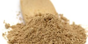 Lion's Mane Mushroom Powder