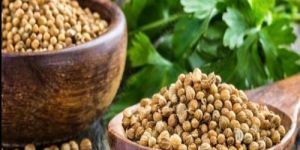 Coriander Seeds