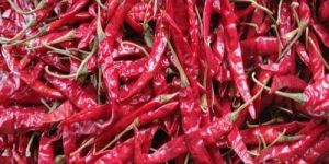 Dried Red Chilli