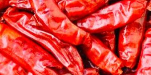 Spicy Red Chilli