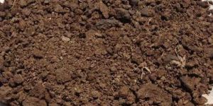 Cow Dung Manure