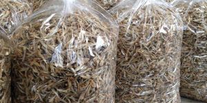 Dried Anchovies