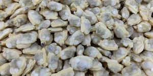 Frozen Cooked Whole Short Necked Clam Meat on Sale