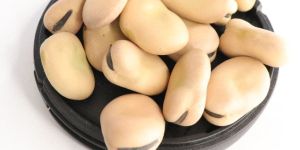 Dried Broad Beans