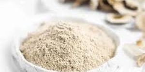 Dry Oyster Mushroom Powder