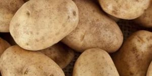 Fresh Brown Potato